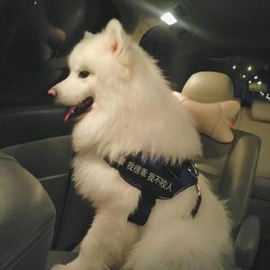 中国第一毛片区域在哪里
