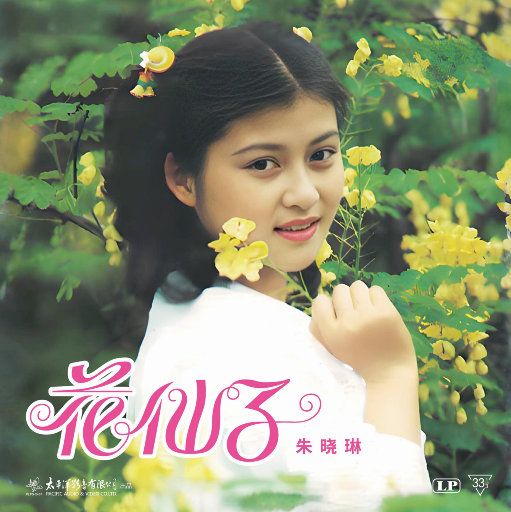 中国第一毛片区域在哪里
